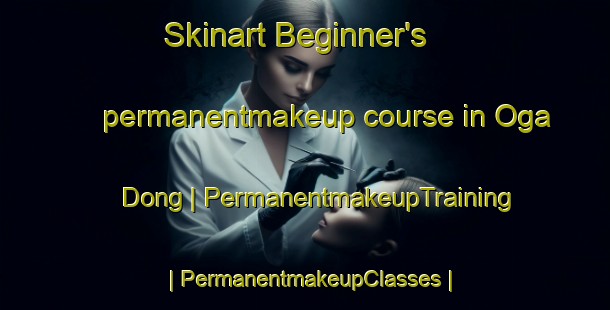 Skinart Beginner's permanentmakeup course in Oga Dong | PermanentmakeupTraining | PermanentmakeupClasses | SkinartTraining-Republic of Korea